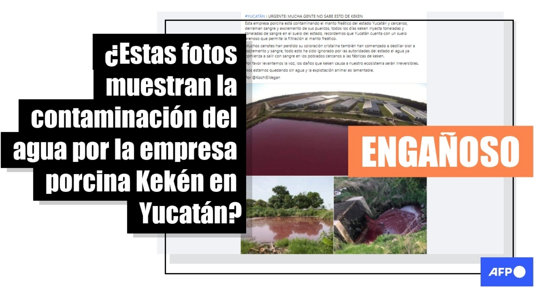 Kekén, empresa mexicana productora de carne no contaminó agua como se dijo en medios; la agencia internacional AFP desmiente fake news.