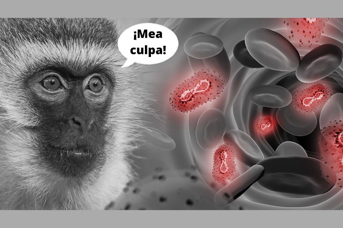 viruela-del-mono-casos-contagios-ciudad-méxico